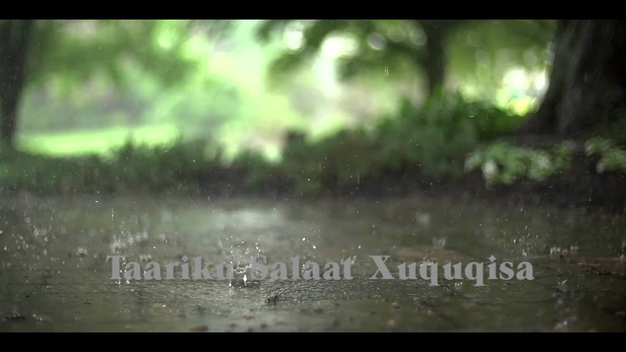 NEW Muxaadaro - Taariku salaat Xaquqisa Sh Saalax Mucalim