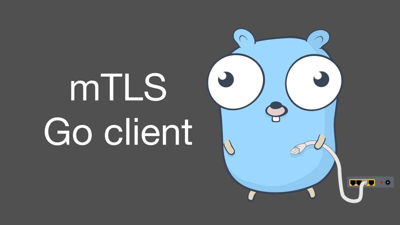 Mutual TLS (mTLS) Go client