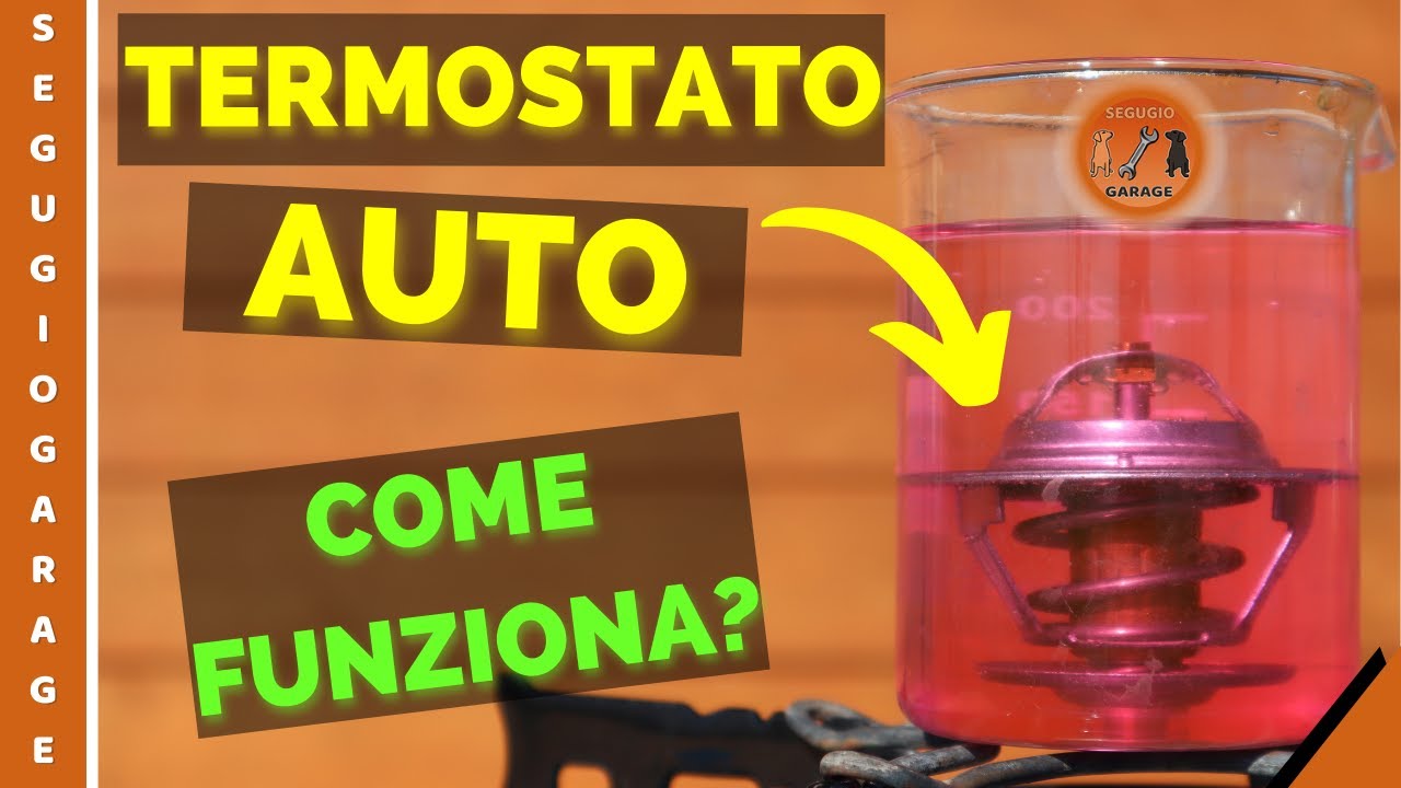 TERMOSTATO Auto: Sai come funziona?