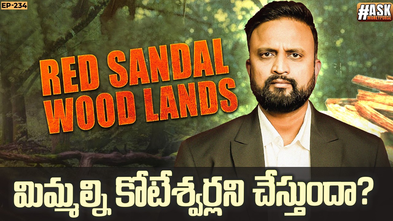 #234 🌳Red sandal wood lands మిమ్మల్ని కోటేశ్వర్లని చేస్తుందా? must watch