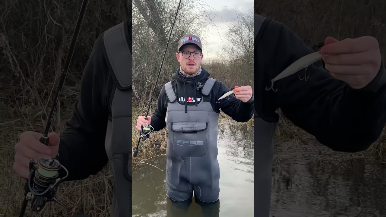 Die beste Rute f&uuml;rs Barschangeln! Bullseye Cherrypicker #bullseyefishing #barschangeln