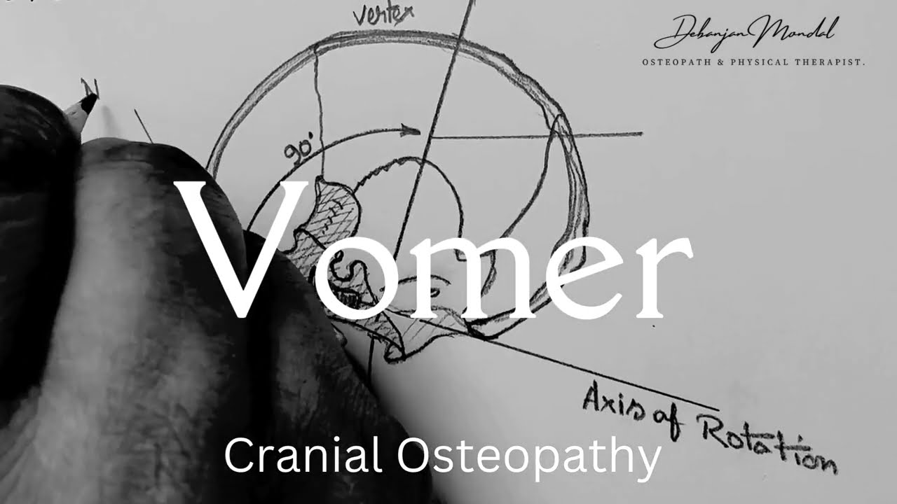 Osteopathy in the Cranial field (Vomer Release).