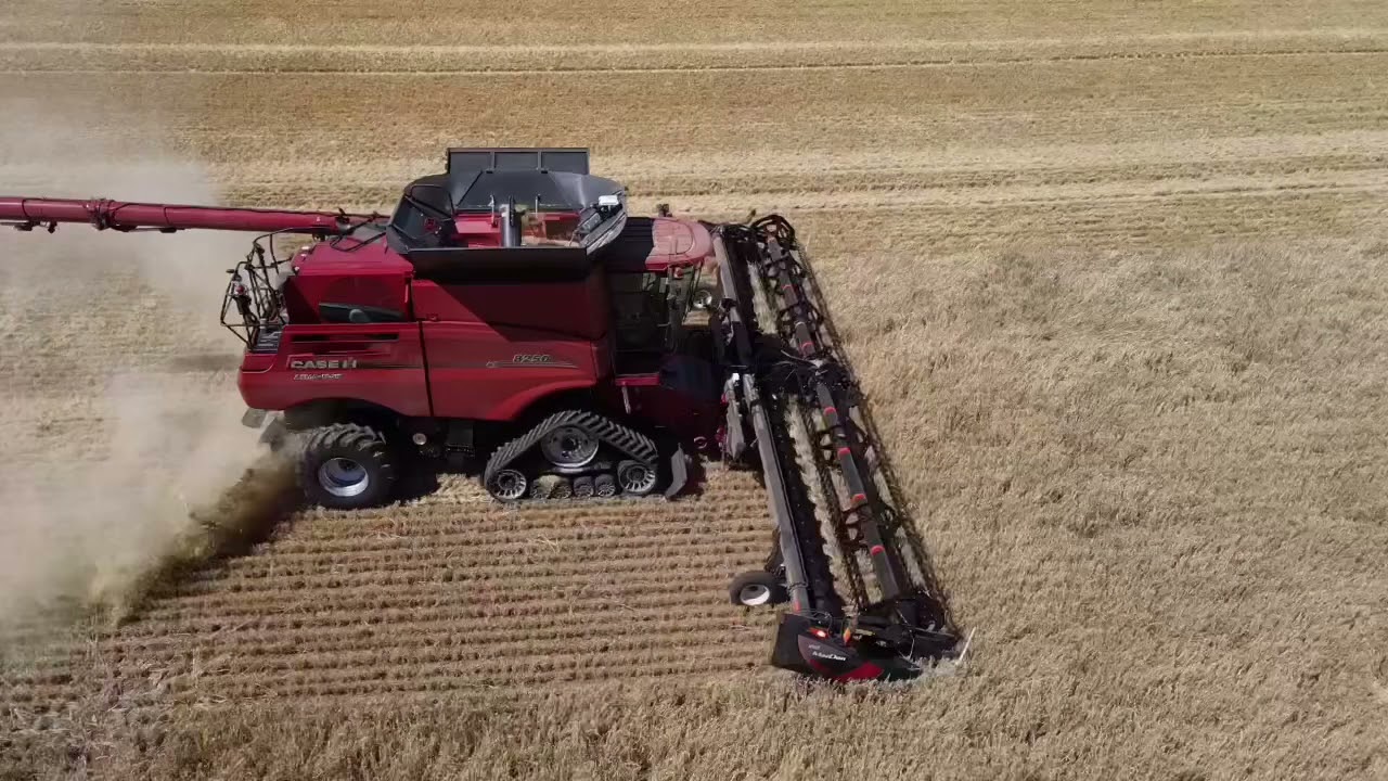 #harvest21#Caseih #barley