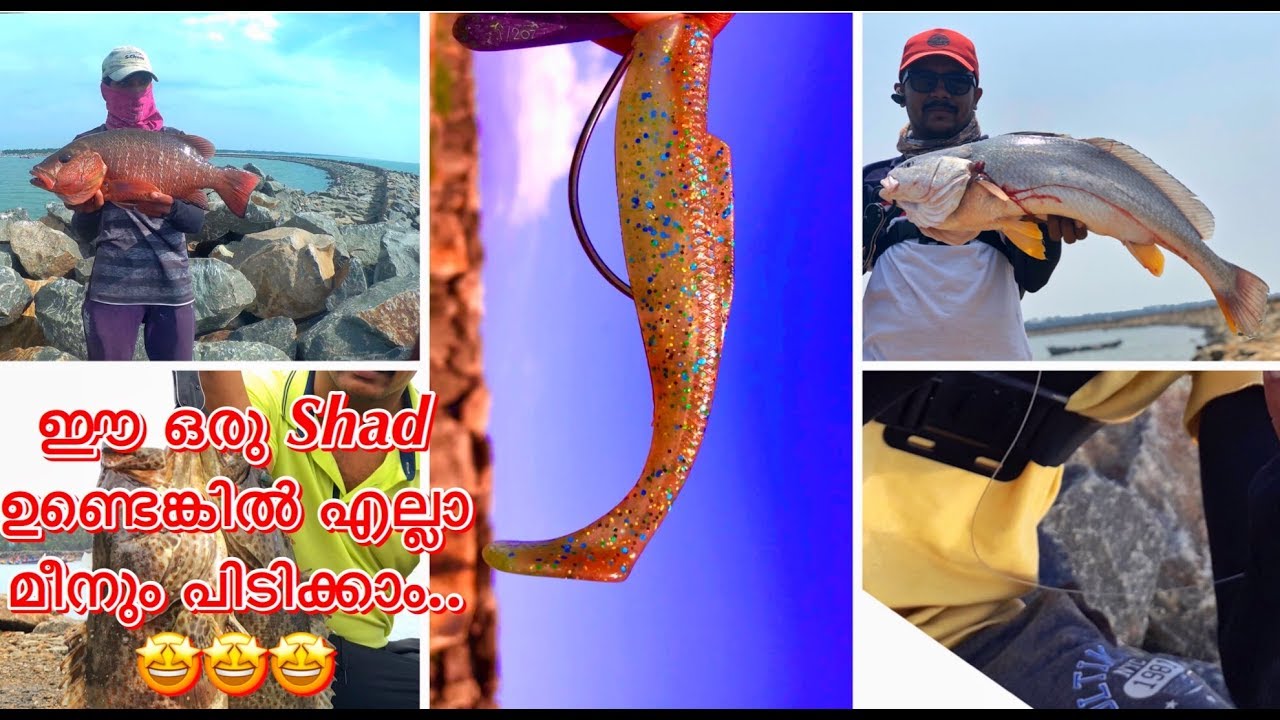 കടലിൽ എല്ലാ മീൻ  പിടിക്കാനും ഈ ഒരു Shad മതി | snapper & Barramundi fishing using Zman Diezel minnowz
