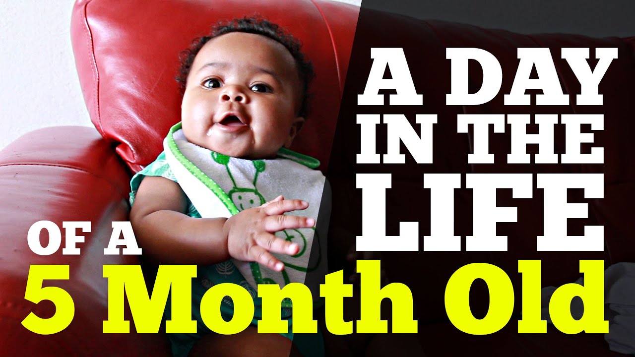 A Day in the Life of a 5 Month Old
