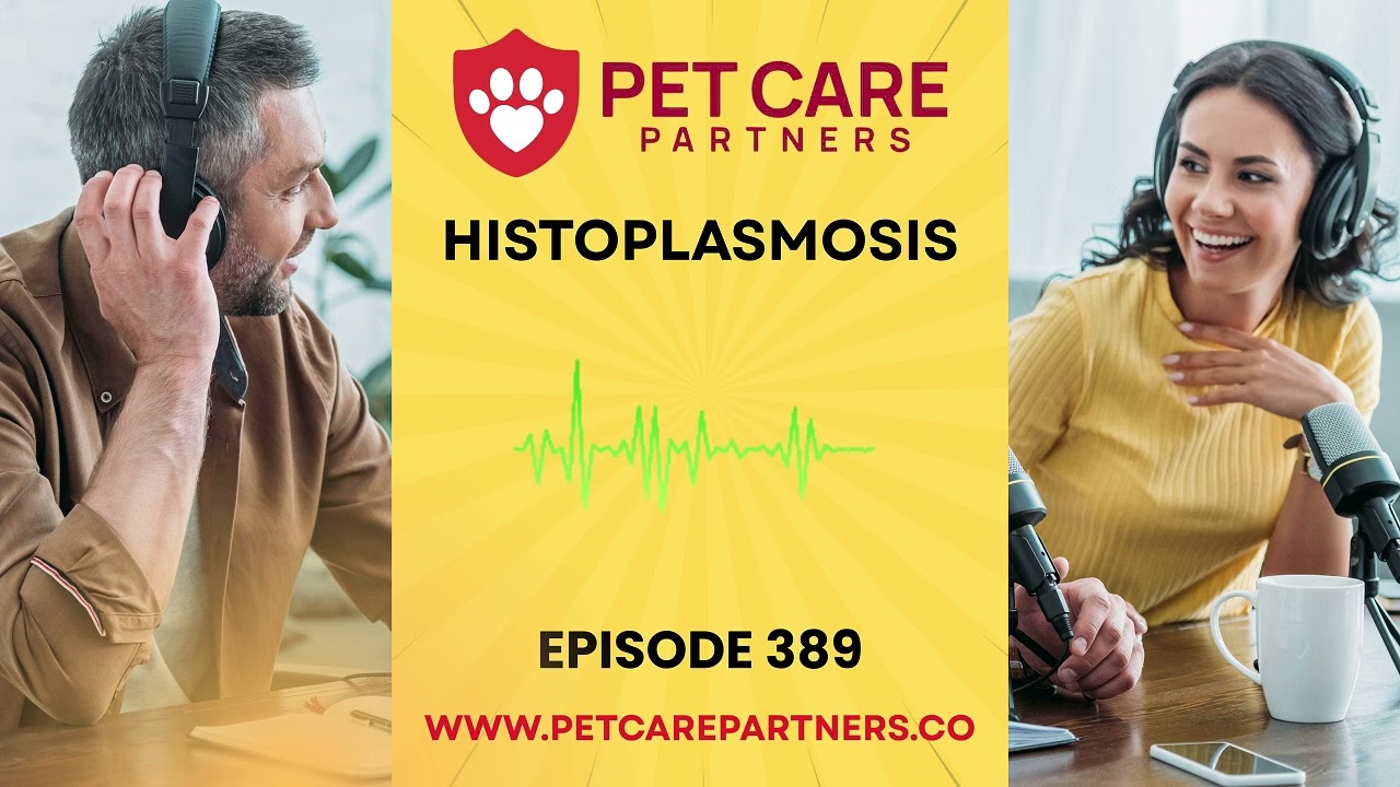 EP 389: Histoplasmosis in Dogs & Cats – Diagnosis, Treatment & Zoonotic Risk | Pet Care Partners