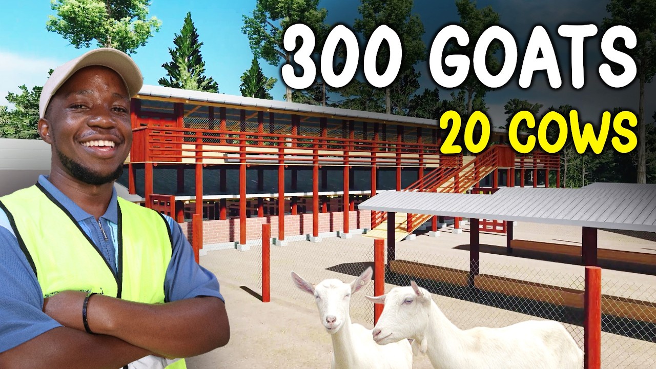 We’re Building Big! 20 Cows + 300 Goats – Integrated Livestock Structure Begin