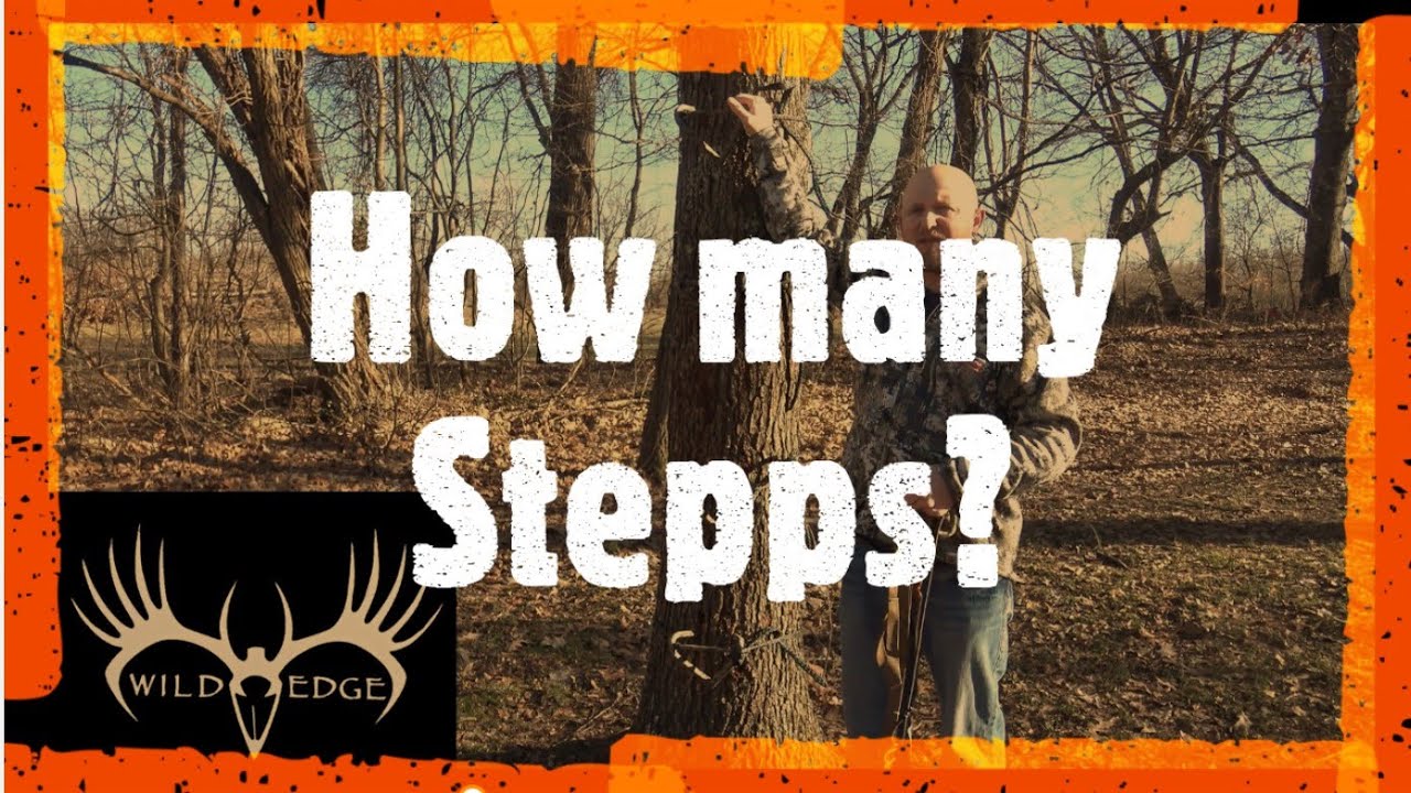 Wild Edge Stepps — Сколько вам нужно?