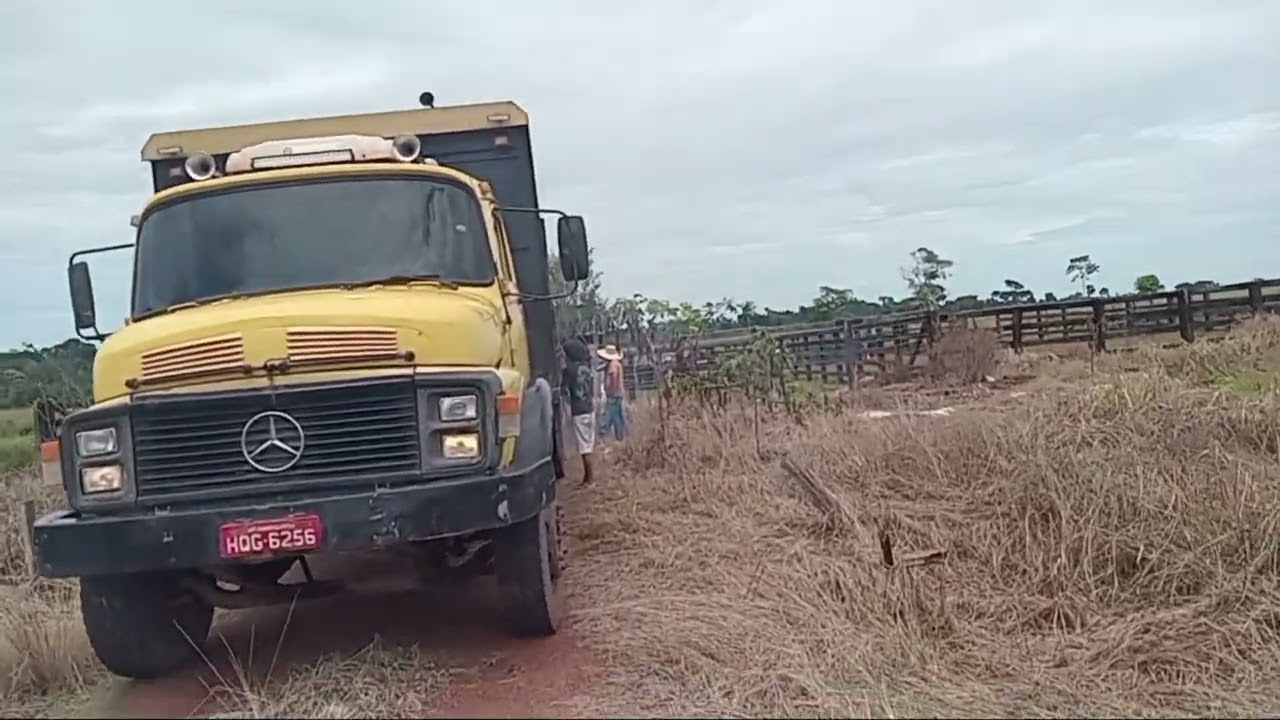 Último vídeo com esse caminhão. ..