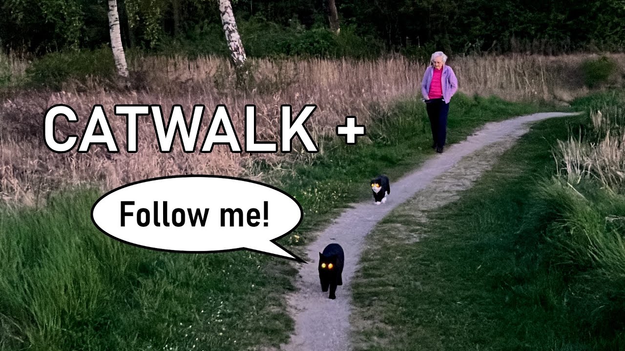 An idyllic walk to the lake and to the cuckoo after sunset