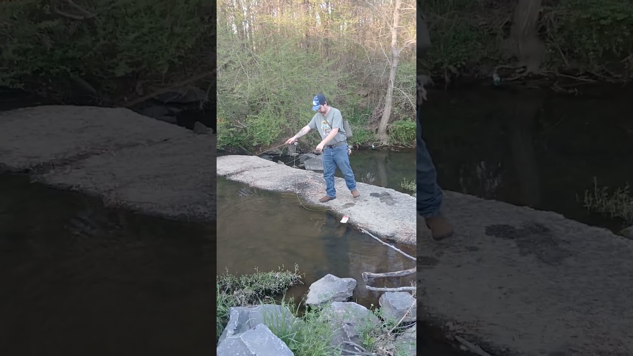 they were on 🔥 🔥🔥 #fishing #sunfish #flyfisherman #flyfishing #fish #creekfishing #nature