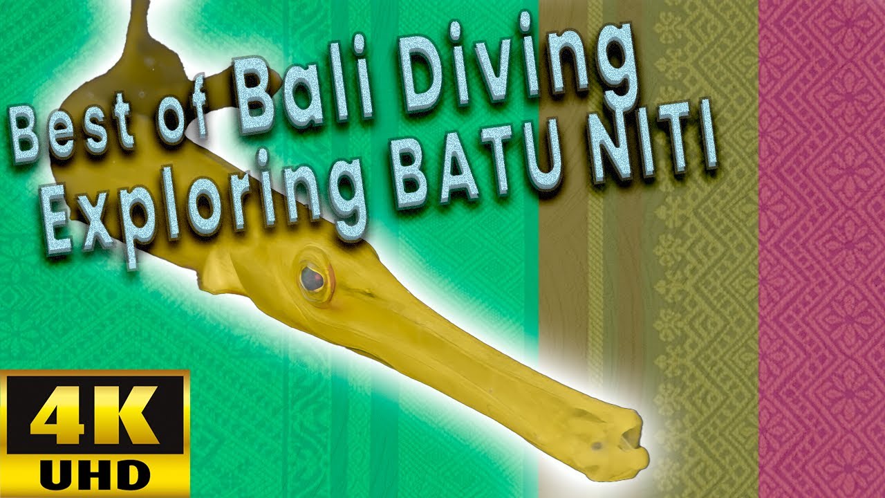 Rare Frogfish & Epic Reef Action: The Best of Batu Niti, Bali [15 Min]