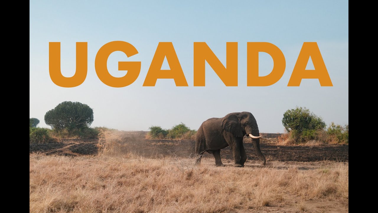 Expedice: UGANDA | Fujifilm X100vi