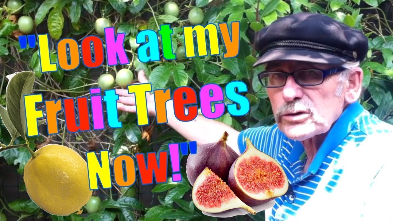 Citrus, Lemon, Lime, Figs, Passionfruit after using UGF 6in1