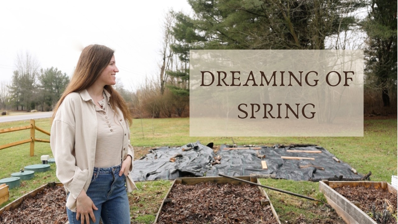 Планирование весны, заказ семян, сад на 2026 год.