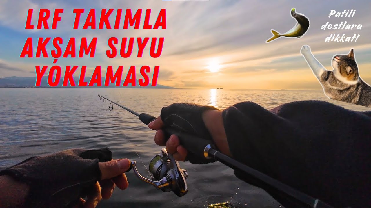 Körfezde Kısa Akşam Suyu Koşusu #lrf #istavrit #balıkavı