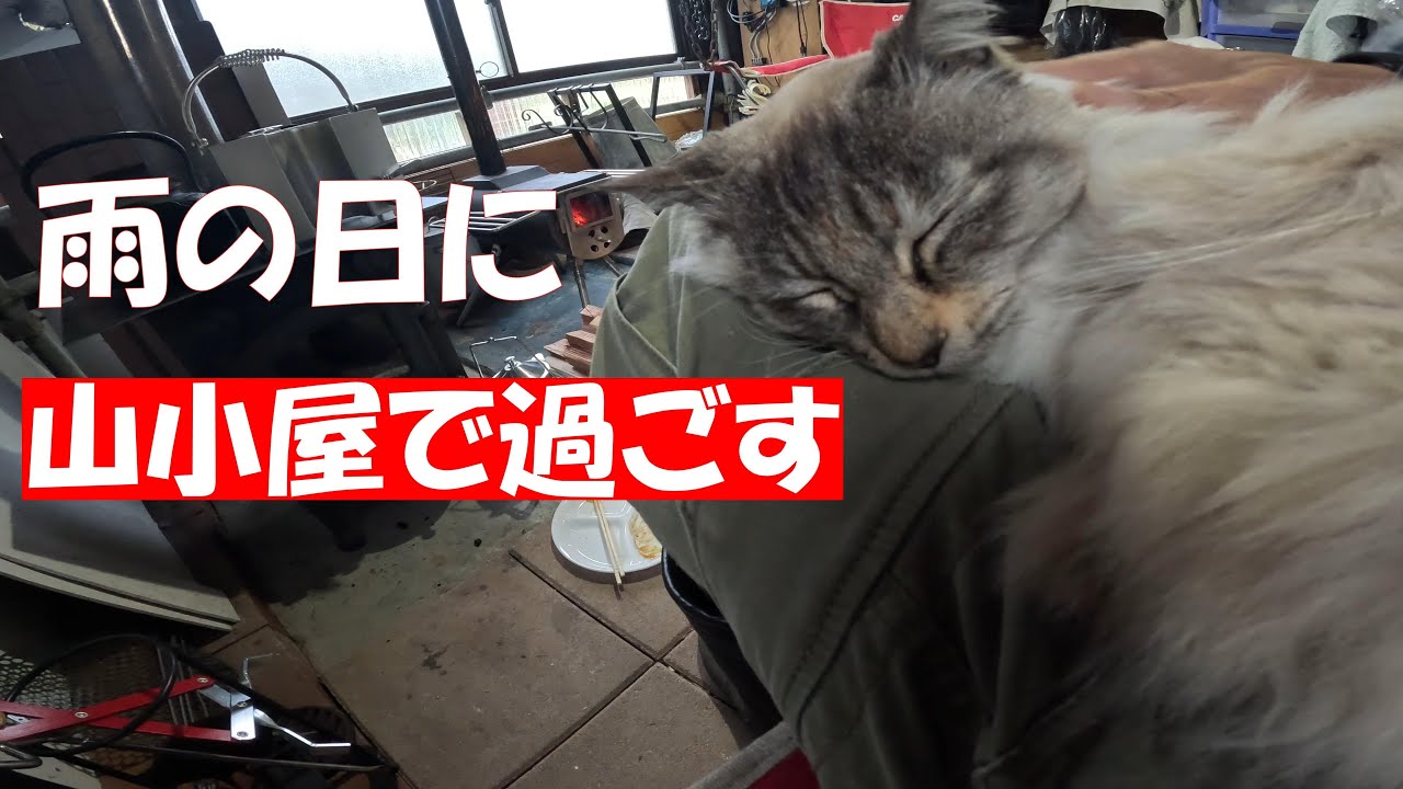 雨の日に猫のマカロニと山小屋で過ごす