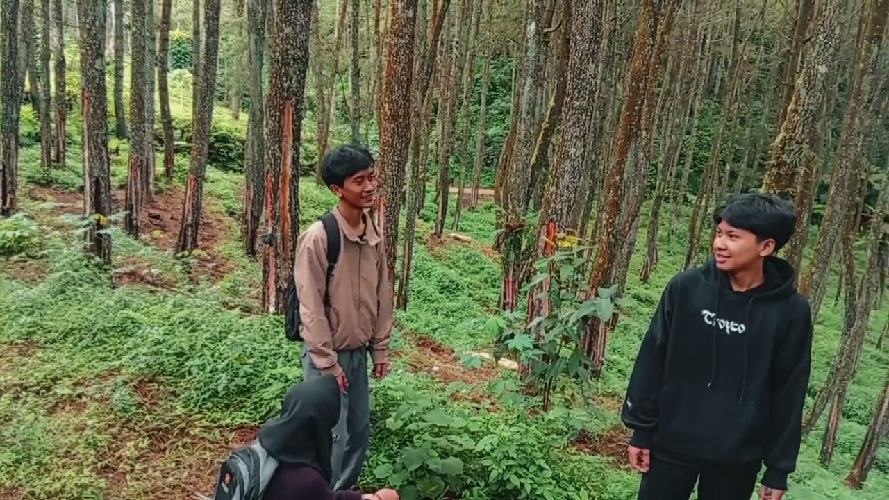 FILM PENDEK : HUTAN TERLARANG HARGA SEBUAH KEINGINAN 