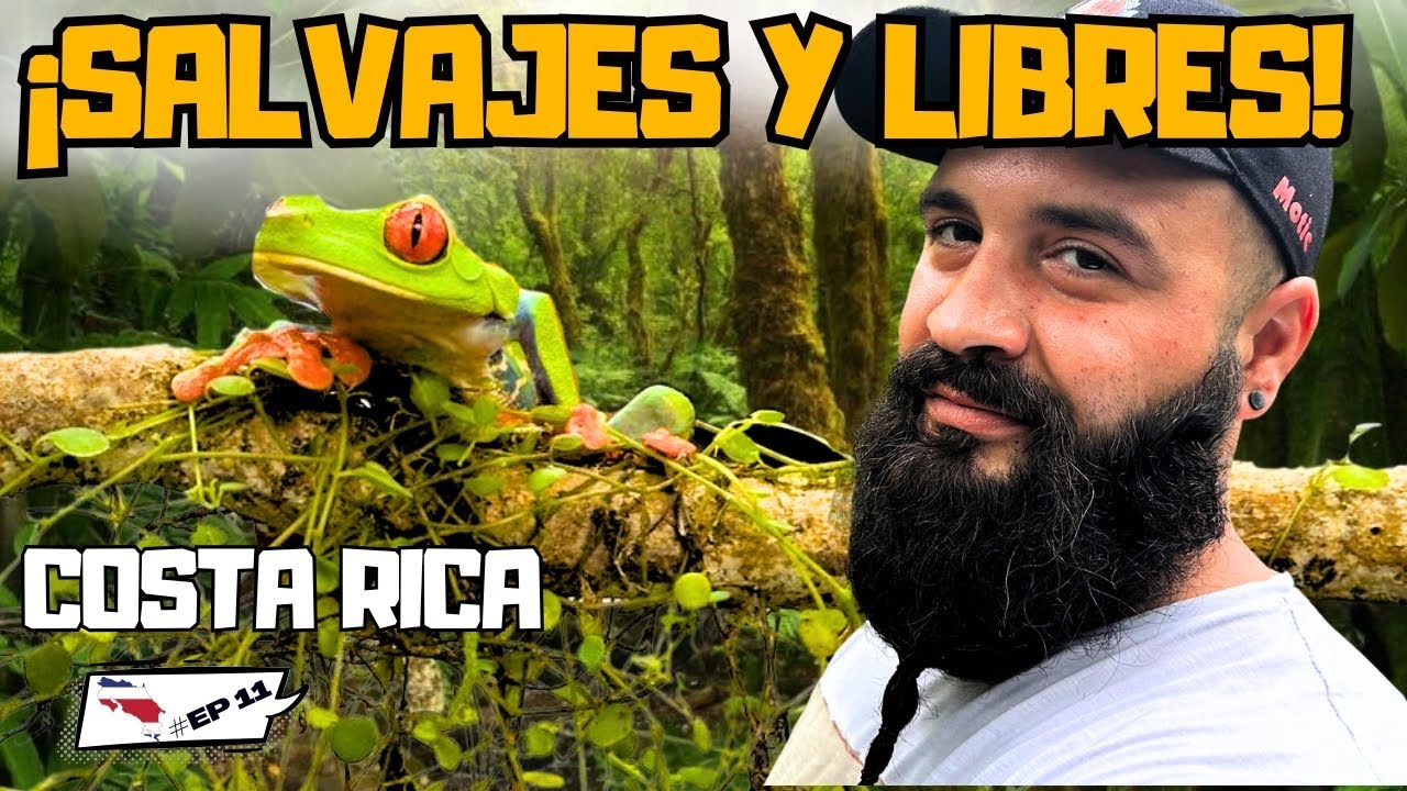 Explorando la Selva de Costa Rica 🐸 | Animales Salvajes y Naturaleza Brutal