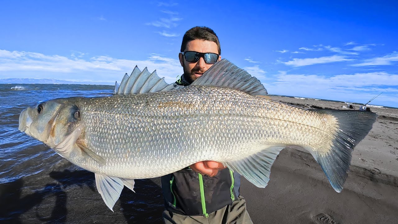 Pesca a spinning in inverno alla SPIGOLA.Una giornata ventosa mi regala una grande Regina.