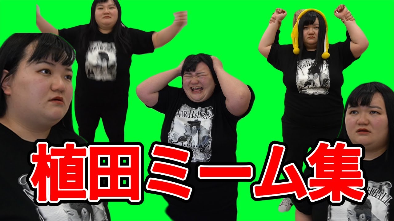 【猫ミーム】植田ミーム集【オダウエダ】