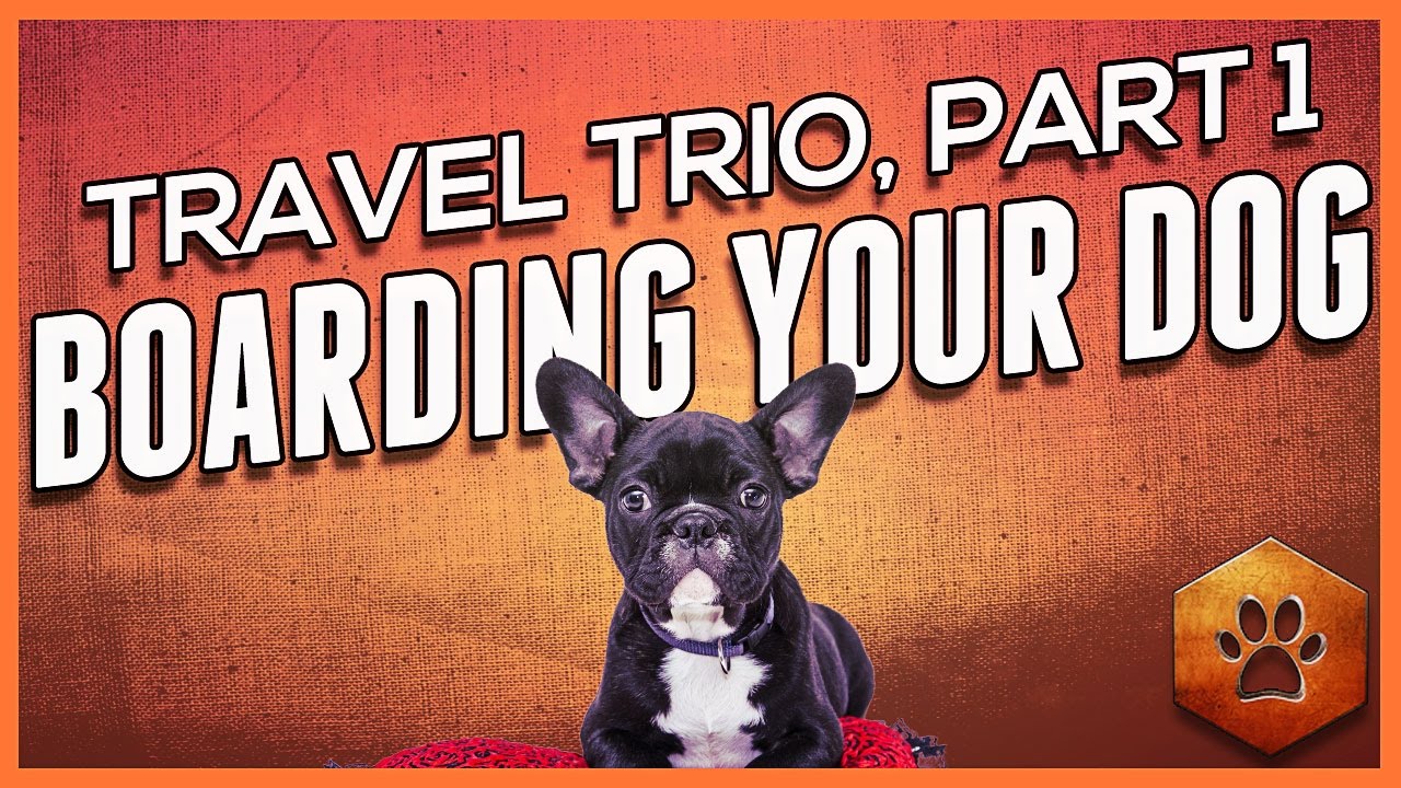 See How to Find a Dog Boarding Facility - Holiday Pet Travel (1 of 3)