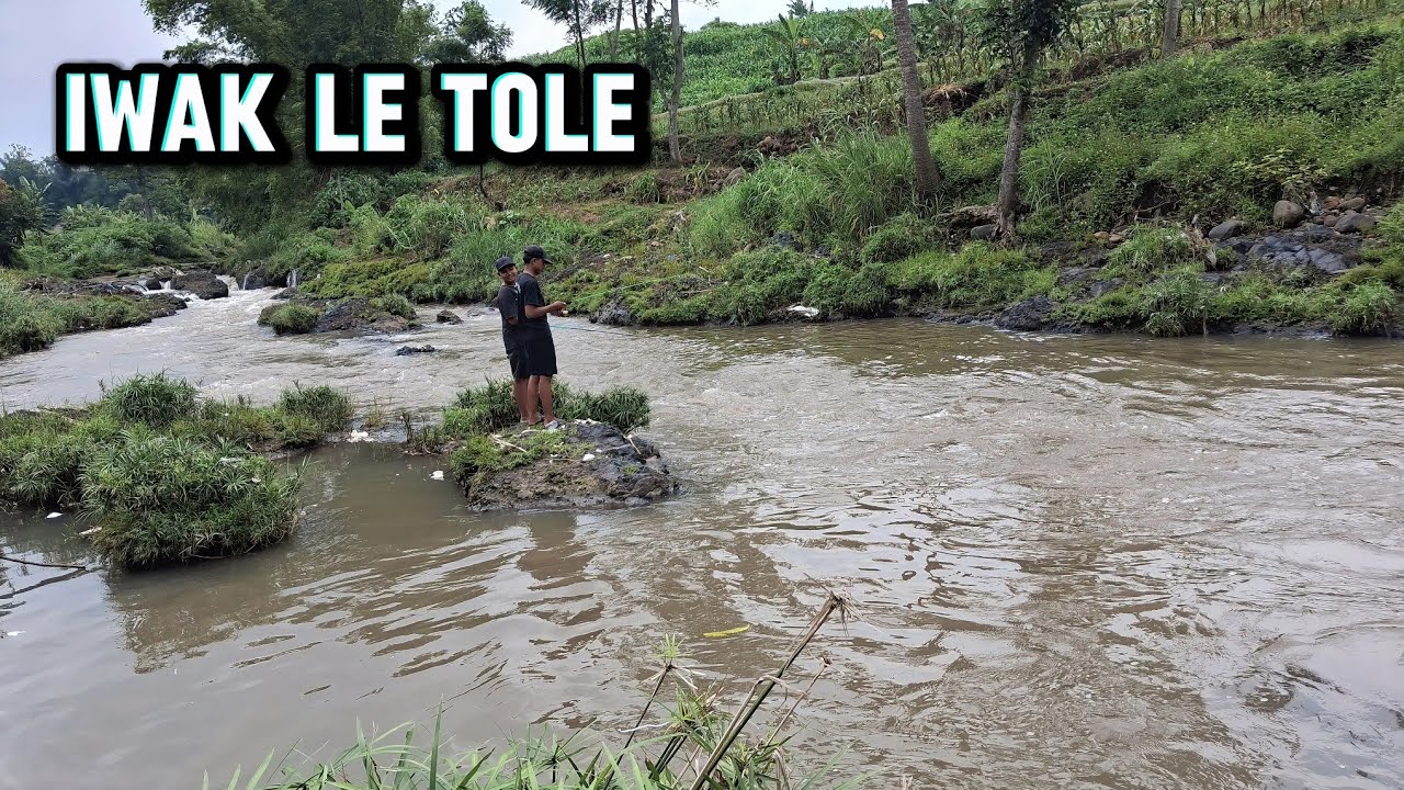 FULL SPOT ELIT‼️YANG MANCING LAGI FRUSTASI
