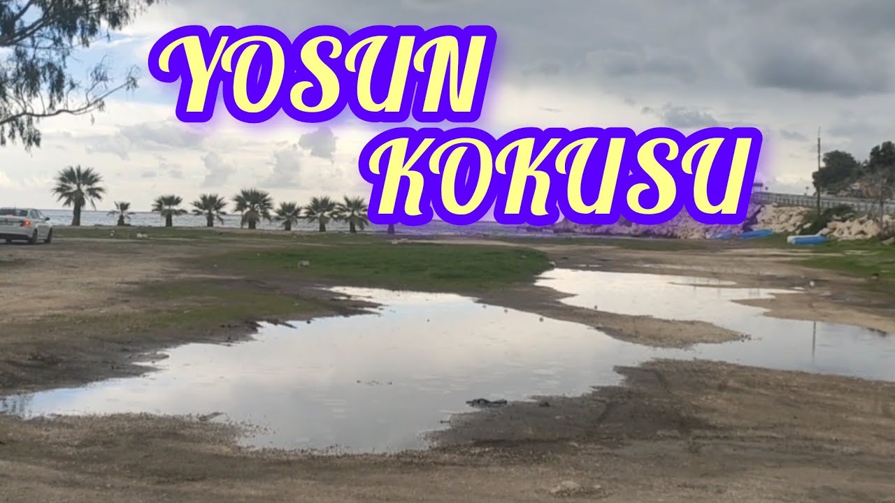 DENİZ KOKUSU