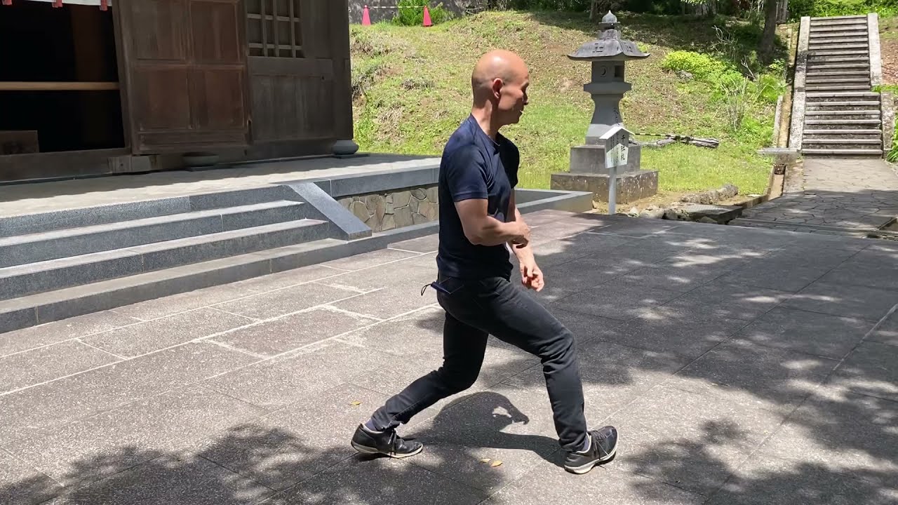 中国伝統武術・車氏形意拳《進退連環拳》　Traditional Kung Fu “Che Style Xing Yi Quan”
