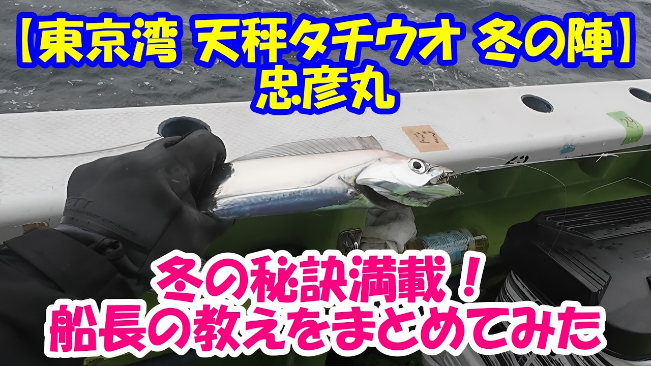 【東京湾 天秤タチウオ】船長レクチャーから見える冬の秘訣！仕掛け エサ付け 誘い タナ取り ライン ドラグ設定