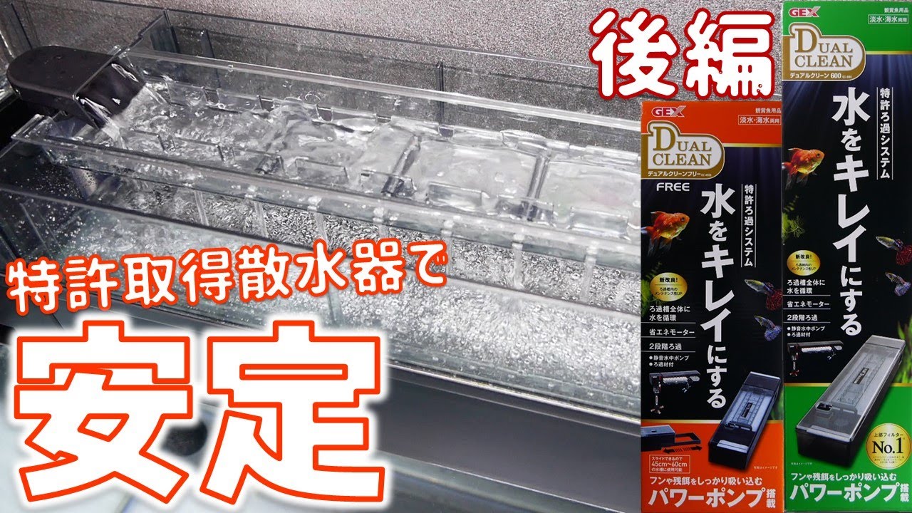 【上部式フィルター】GEXデュアルクリーンフリー DC-4560、DC-600後編！2段式にする事で音の軽減が出来る見ていて楽しいろ過器【ふぶきテトラ】