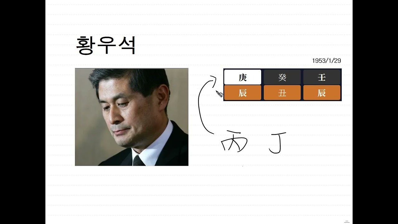 庚辰 황우석