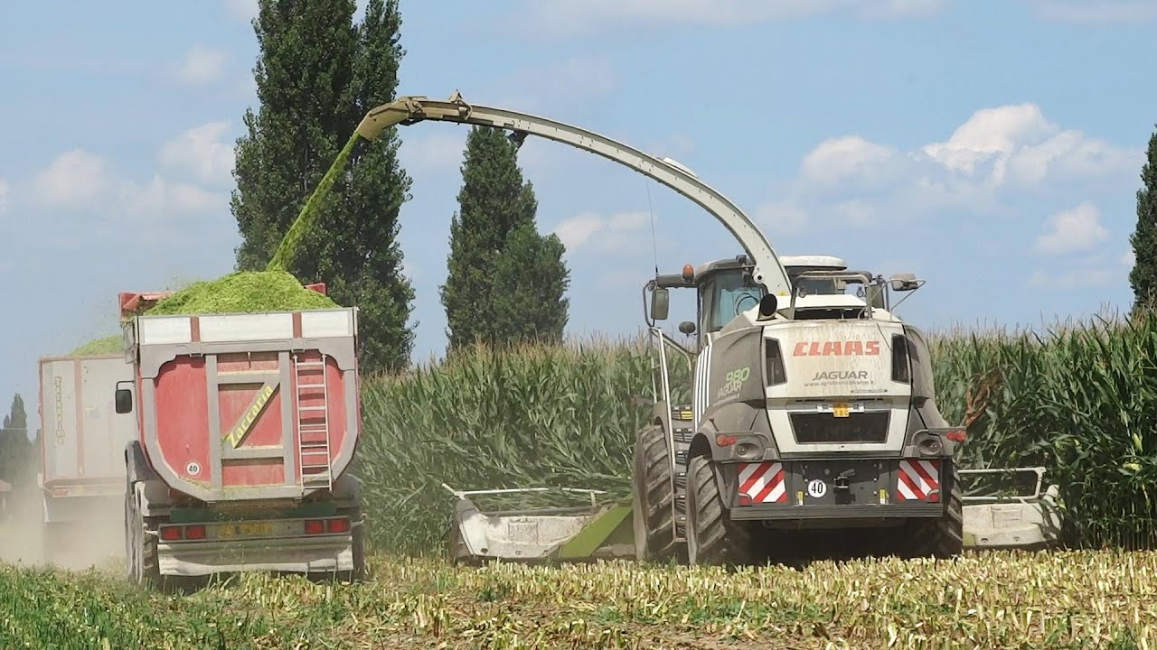Mais Silage | Special Claas Jaguar 980 + Orbis 750 | Agrotecnica Fraron