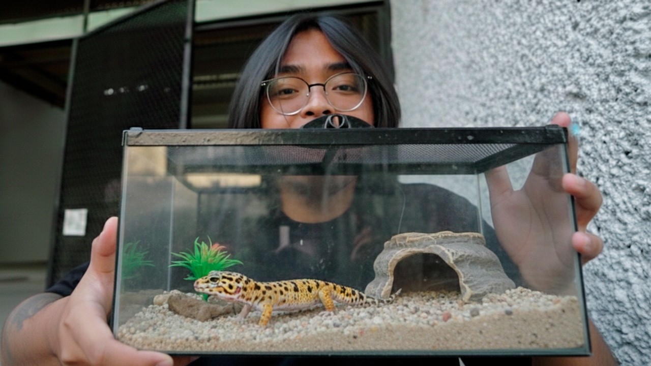 esto es lo que cuesta un gecko en el mercado de peces Morelos