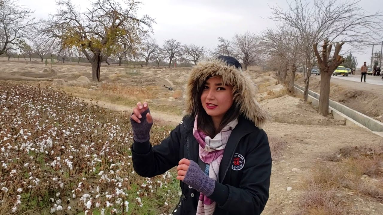 شهرک رهایشی کود و برق دهدادی - بلخ ( شارگشت با رویا قسمت49 ) Sharghasht in dehdadi - Balkh  EP 49