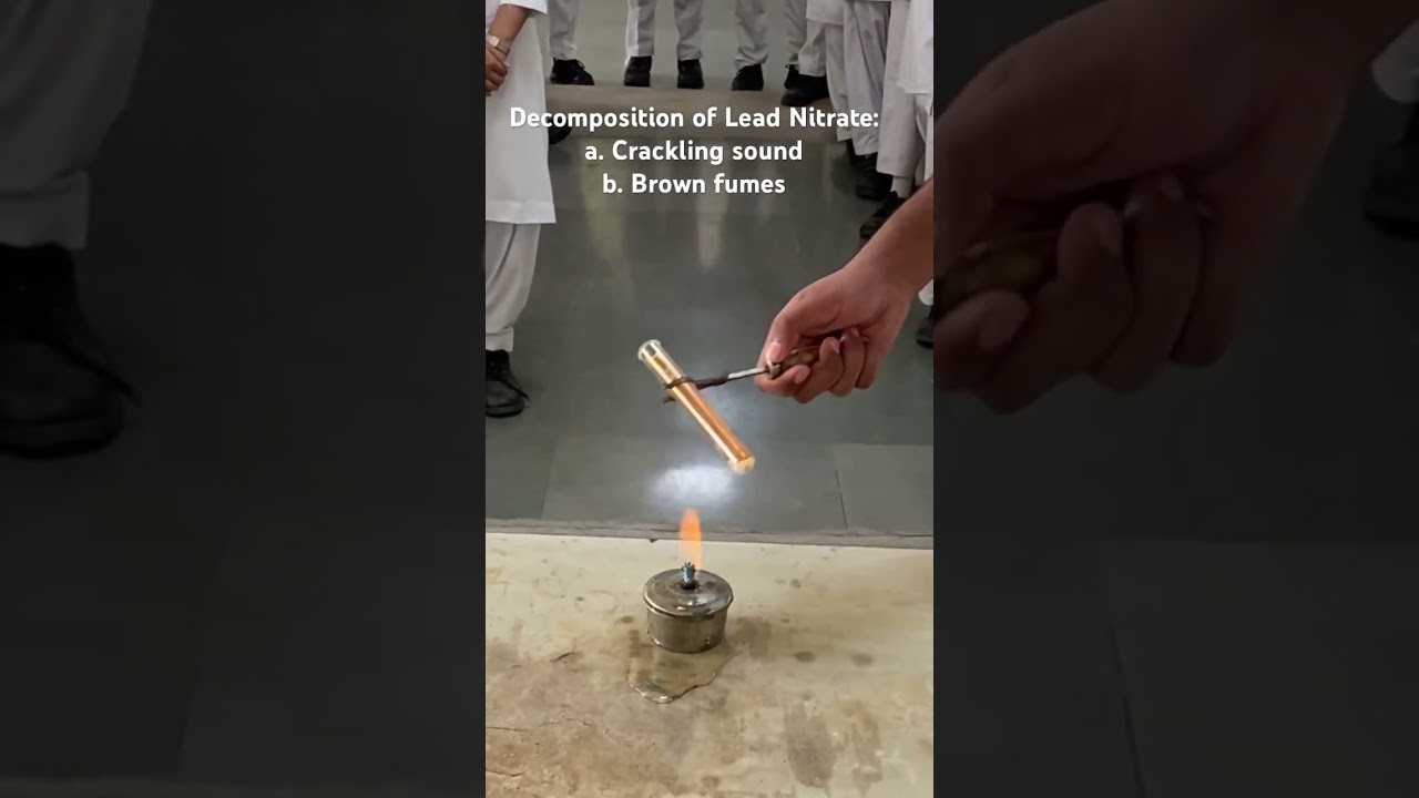 Decomposition reaction of lead nitrate #class10 #chemistry #reaction #science #experiment