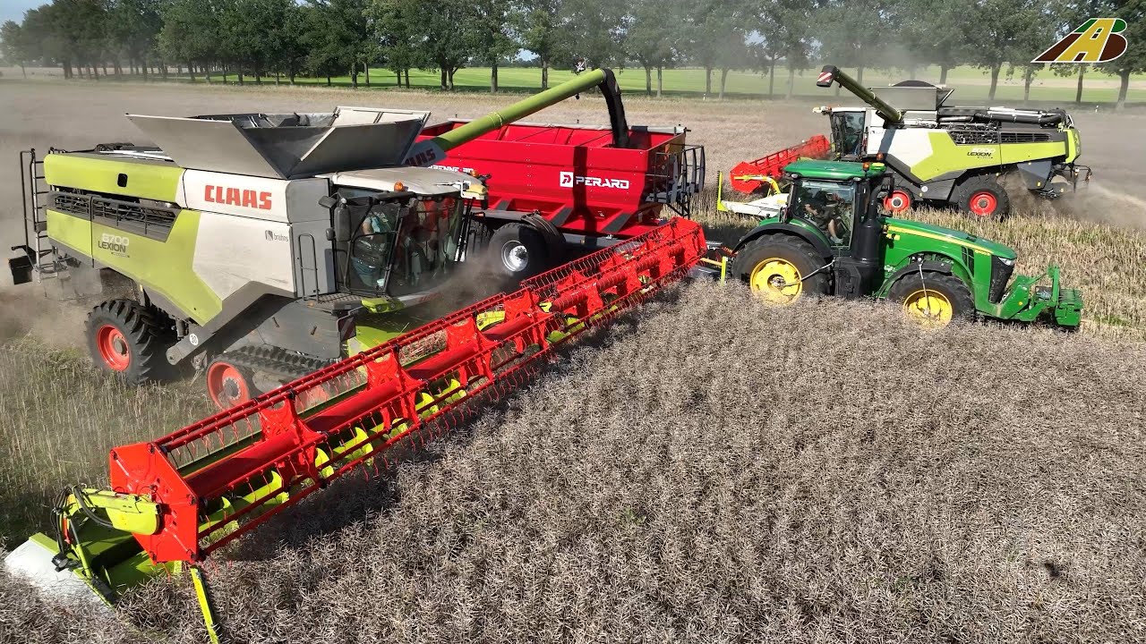 Rapsernte 2023 - 2 neue CLAAS 8700 Mähdrescher & Traktor John Deere 8400R new big Combine Harvester