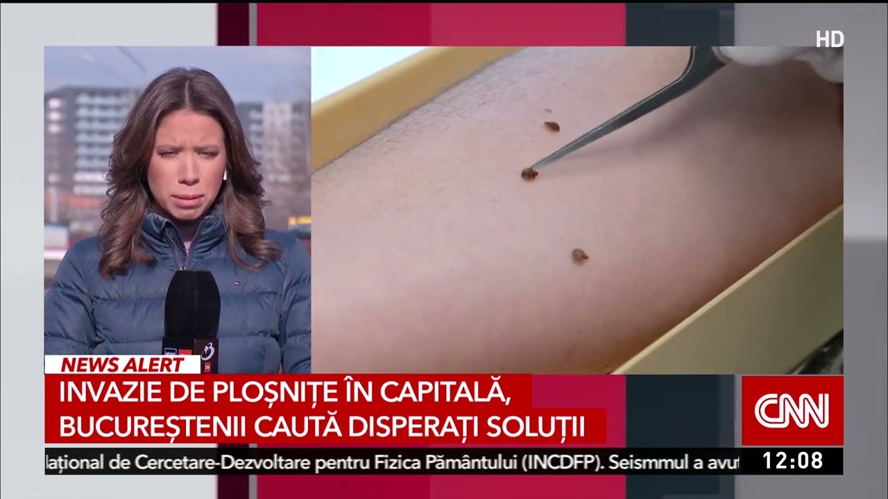 E invazie de ploşniţe &icirc;n Bucureşti