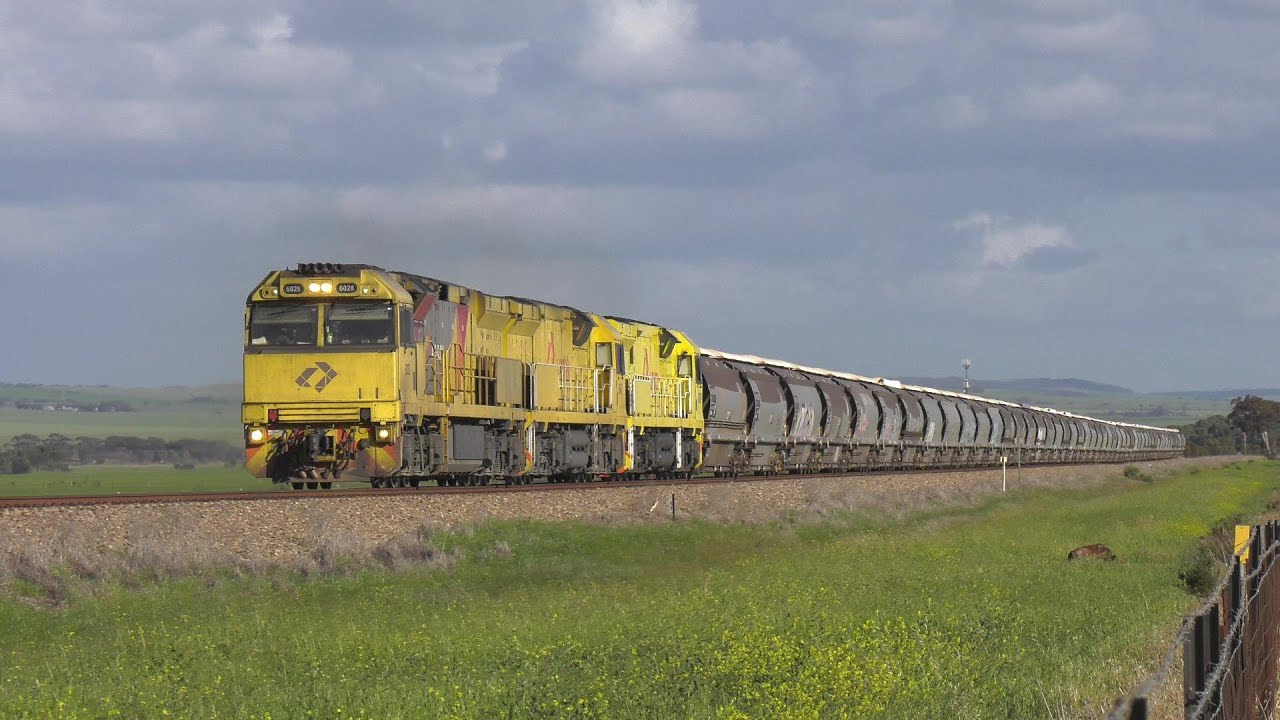 Drought Relief Grain Trains + Drone Footage - Trains of SA's Mid North