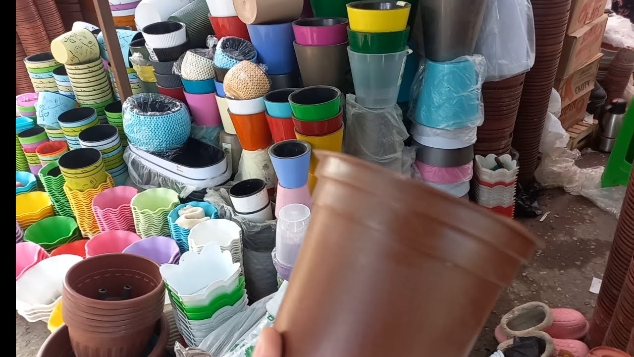 gul tuvak va dekorativ gullar