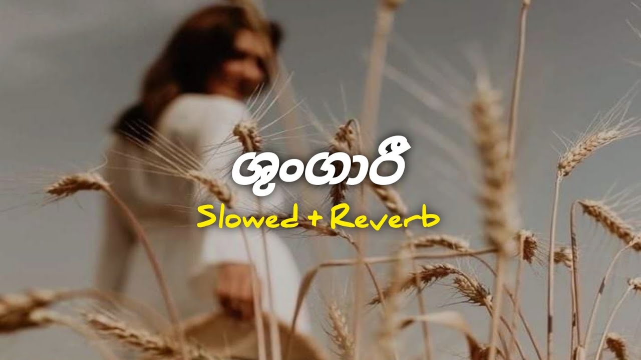 Shungari || ශුංගාරී || Nimaya walagedra [ Slowed and Reverb ] || 