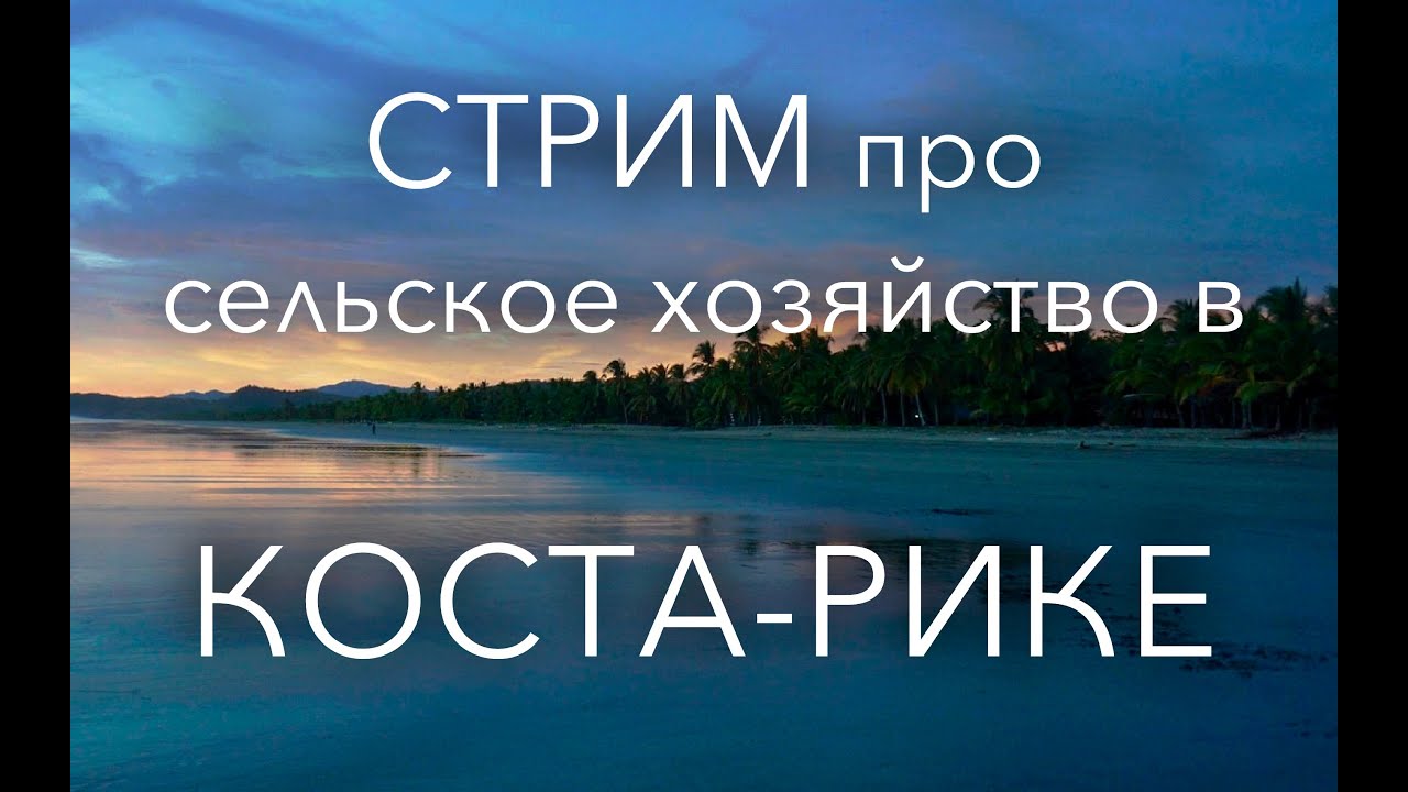 Стрим про сельское хозяйство в Коста-Рике
