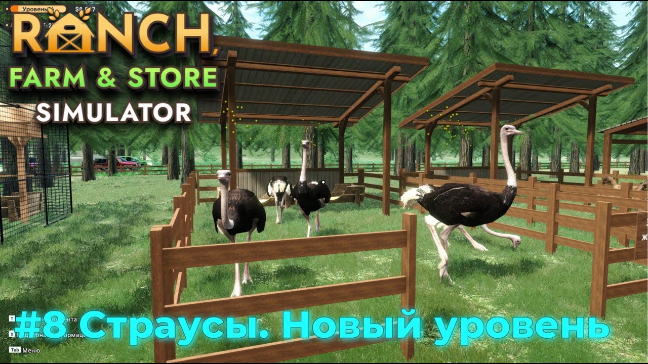 Ranch Farm and Store Simulator - симулятор фермы и магазина. Серия №8 - Страусы. Ещё уровень.