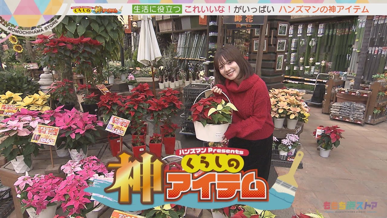 【ハンズマン】くらしの神アイテム～年末オススメ商品～(2025年11月28日OA)
