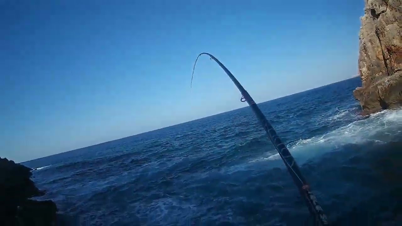 &Mu;&Pi;&Omicron;&Lambda;&Omicron;&Nu;&Epsilon;&Zeta;/BOLOGNESE/ ROCK FISHING