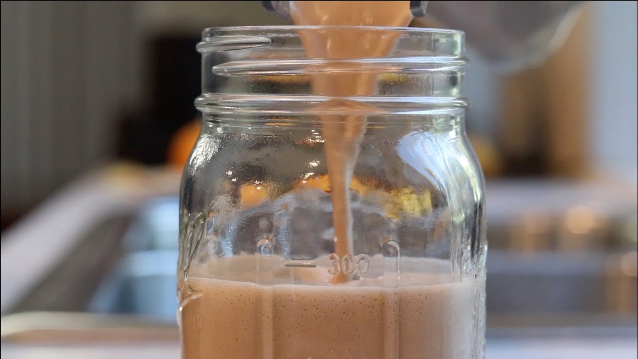 Top 5 Ways to Use Sea Moss Gel for Health & Energy | Sea Moss Recipes