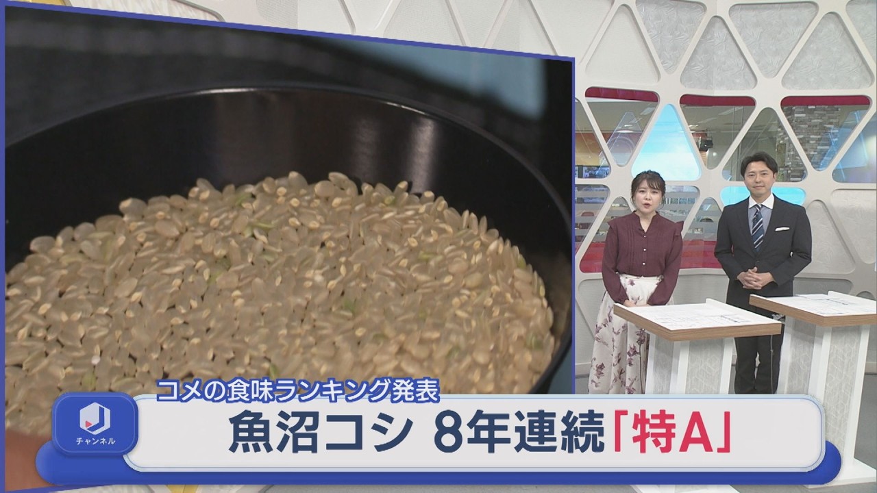 県産コシヒカリでは「魚沼」が8年連続で最高評価「特A」を獲得：コメの食味ランキング【新潟】スーパーJにいがた2月27日OA