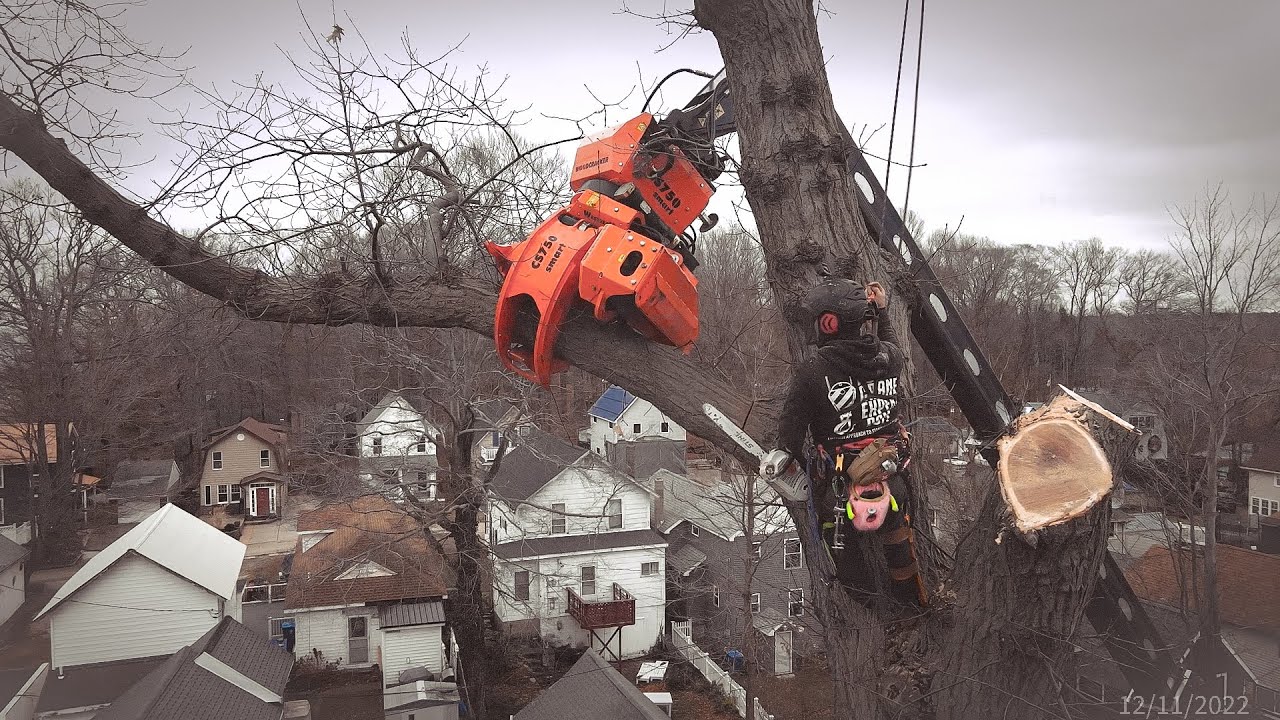 The Industrial Tarzan | Tree Team TV | Epic Woodcracker Tree Removal