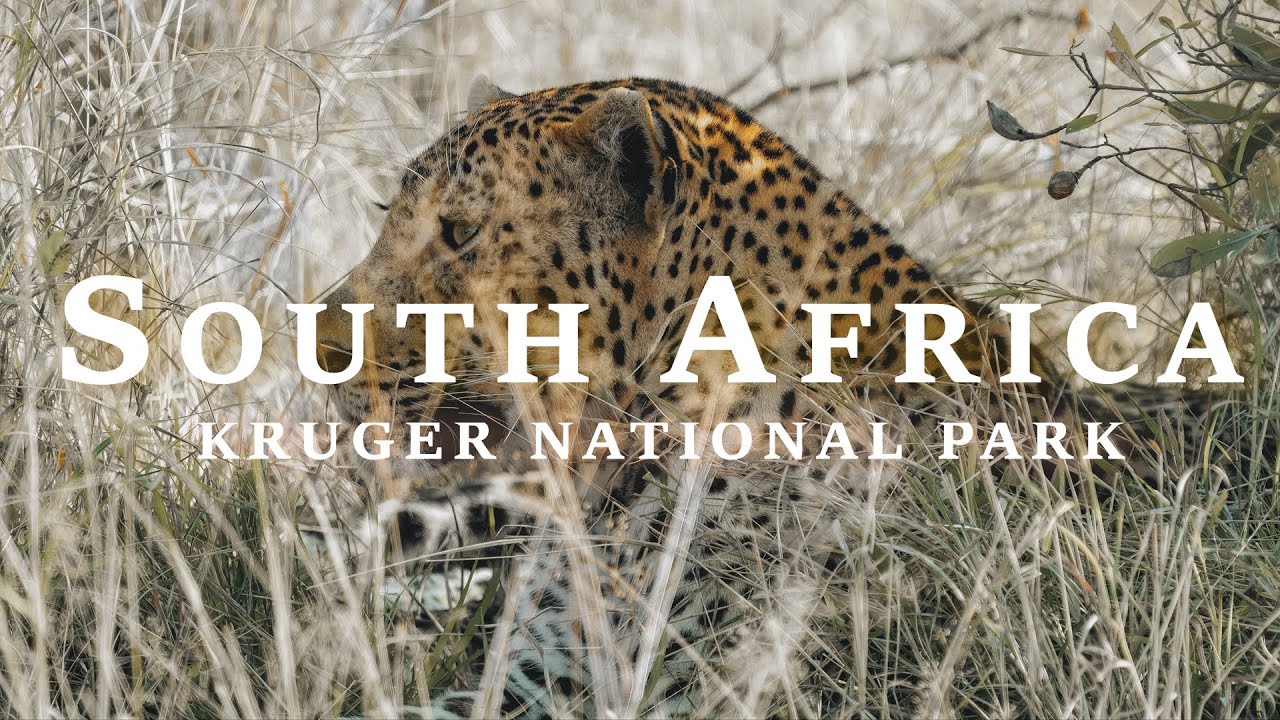 Self-Drive Safari in Kruger National Park, South Africa | Malelane & Berg-en-Dal Rest Camp
