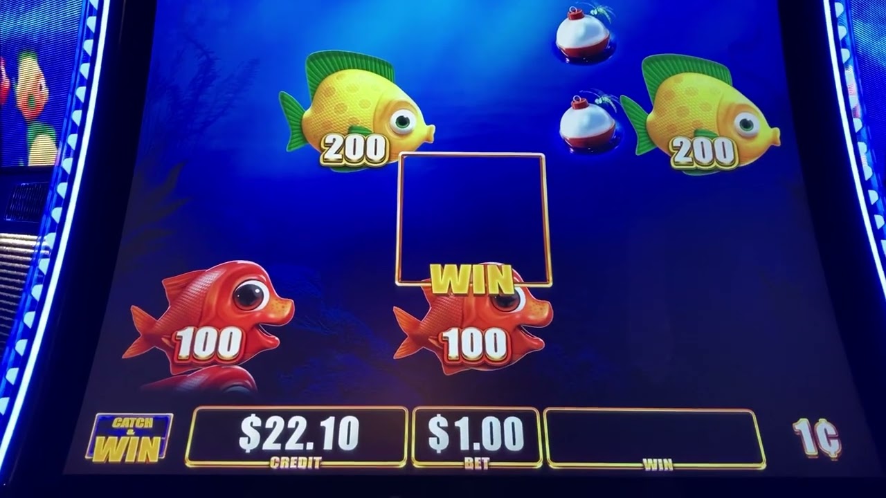 NEW GAME! Big Fish Grand! Slot Machine? Fishing Game? Live Play at Casino! 🐠🐟🐠🐟🐠🐟
